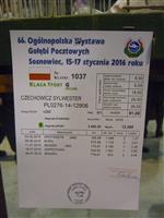 Pokaż zdjęcie w powiększeniu Gołębie zdjęcie